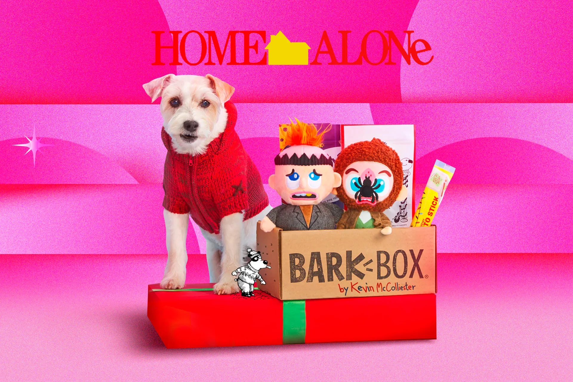 Bark Box X Home Alone