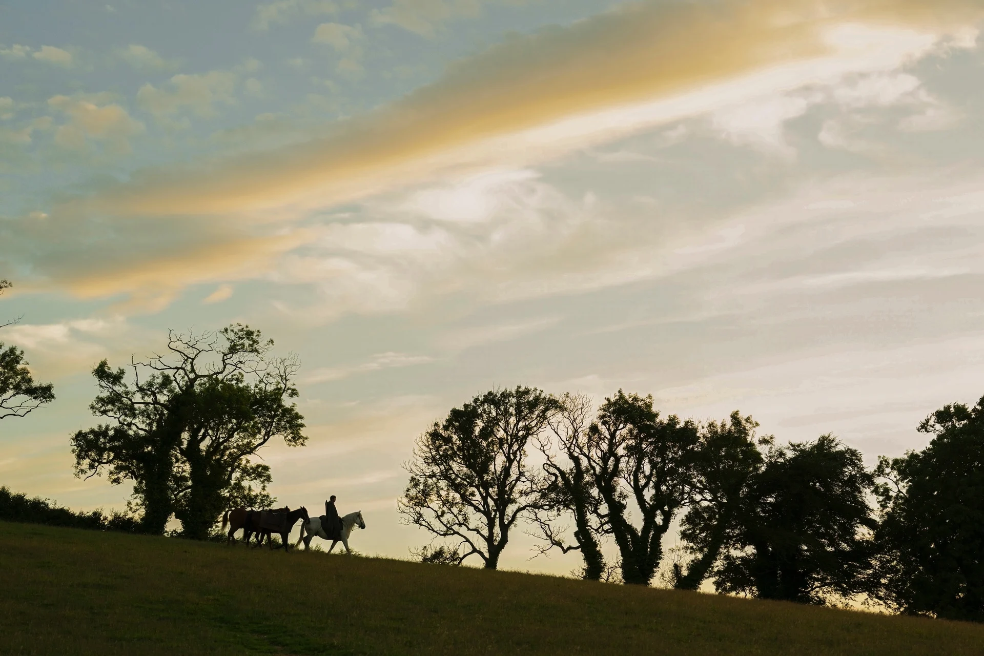 Aknight Dunkandhorses