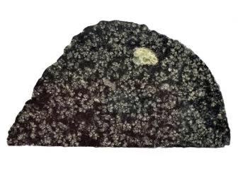 Slice Nwa 12774